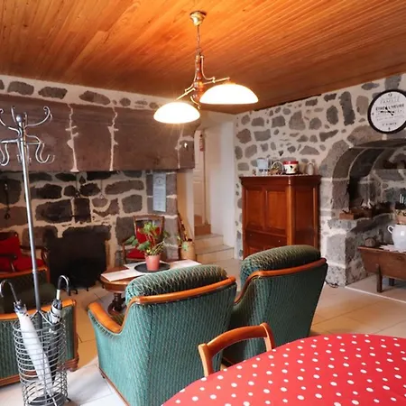 Charme Et Confort: Renove Avec Jardin, Proche Et Randonnees - Fr-1-742-271 Saint-Cernin (Cantal)